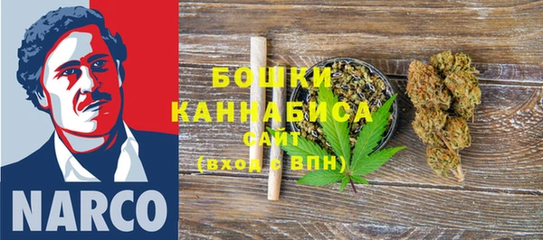 ГАЛЛЮЦИНОГЕННЫЕ ГРИБЫ Липки
