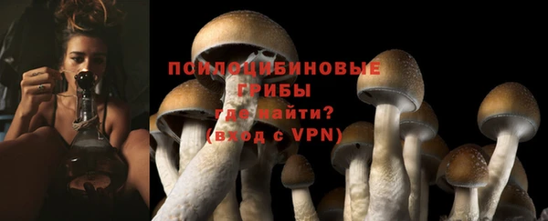 COCAINE Майский