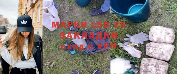 ГАЛЛЮЦИНОГЕННЫЕ ГРИБЫ Липки