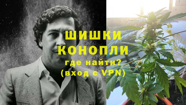 дурь Магас