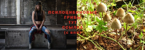 mdpv Лихославль