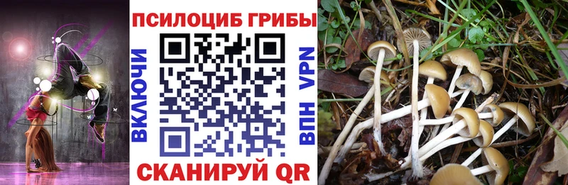 Псилоцибиновые грибы прущие грибы  Суджа 